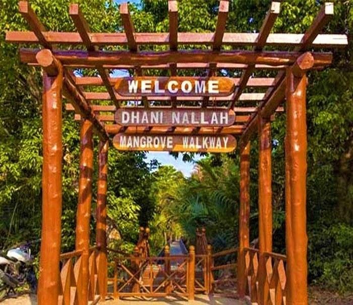 Dhanni Nallah Mangrove Walkway